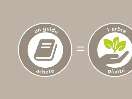 Plantez un arbre !